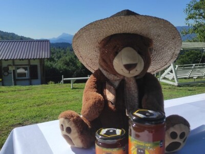 OPG Pčelarstvo Burić - API komora