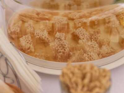 OPG Pčelarstvo Burić - API komora