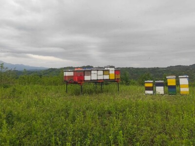 OPG Pčelarstvo Burić - API komora