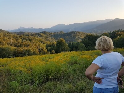 OPG Pčelarstvo Burić - API komora