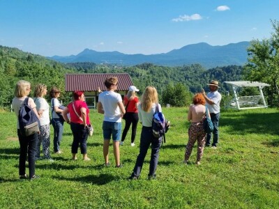 OPG Pčelarstvo Burić - API komora