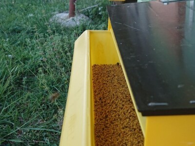 OPG PČELARSTVO DŽEPINA