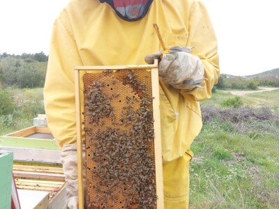 OPG PČELARSTVO DŽEPINA