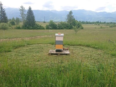 OPG PČELARSTVO DŽEPINA