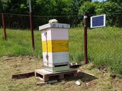 OPG PČELARSTVO DŽEPINA