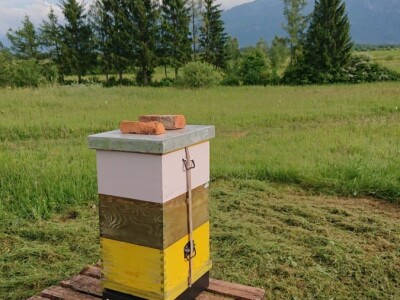 OPG PČELARSTVO DŽEPINA