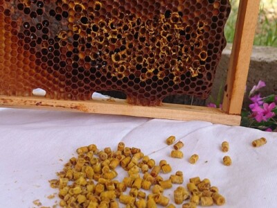 OPG PČELARSTVO DŽEPINA