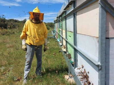 OPG PČELARSTVO DŽEPINA