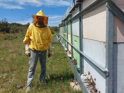 OPG PČELARSTVO DŽEPINA