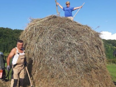 OPG Perica Mijatović OPG Perica Mijatović