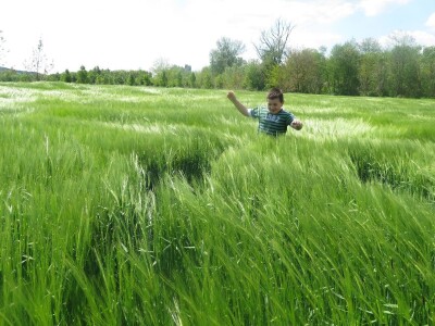 OPG Perica Mijatović OPG Perica Mijatović