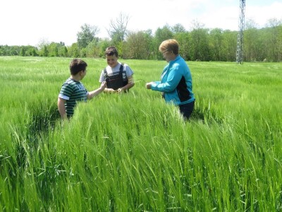 OPG Perica Mijatović OPG Perica Mijatović