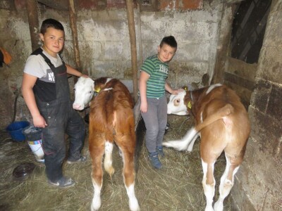 OPG Perica Mijatović OPG Perica Mijatović