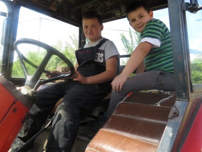 OPG Perica Mijatović OPG Perica Mijatović