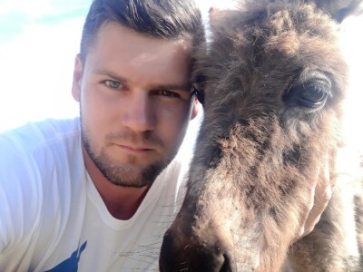 OPG Perkov-Stipičin