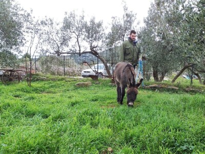 OPG Perkov-Stipičin