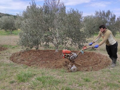 OPG Perkov-Stipičin