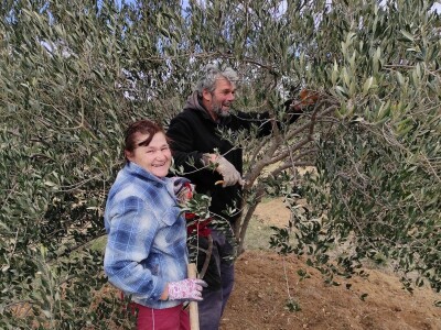 OPG Perkov-Stipičin