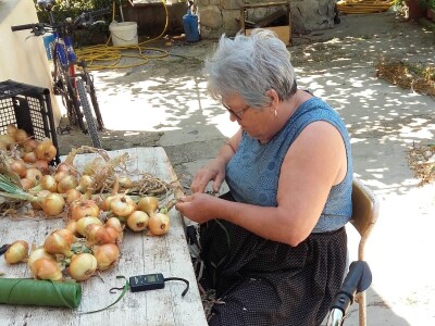 OPG Perkov-Stipičin