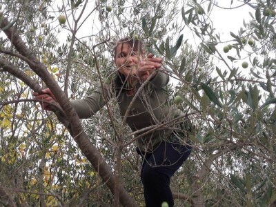 OPG Perkov-Stipičin