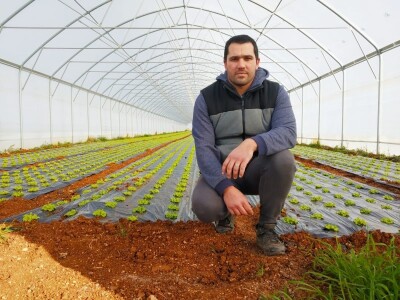 OPG PEŠIĆ JOSIP -  Josipova profitabilna zimska kristalka i prve lubenice sa Velike Opatije OPG PEŠIĆ JOSIP -  Josipova profitabilna zimska kristalka i prve lubenice sa Velike Opatije