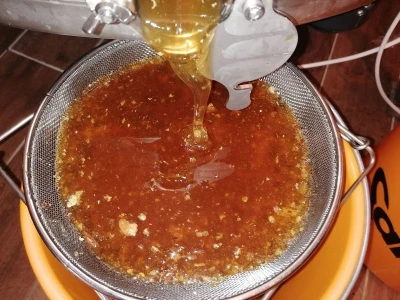 OPG PETAR MATAK - Pripravci od pčelinjeg otrova pomoći će ženama da ostanu vječno mlade?!