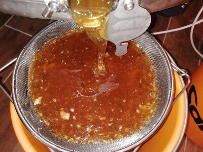 OPG PETAR MATAK - Pripravci od pčelinjeg otrova pomoći će ženama da ostanu vječno mlade?!