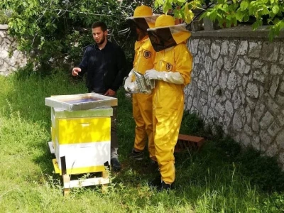 OPG PETAR MATAK - Pripravci od pčelinjeg otrova pomoći će ženama da ostanu vječno mlade?!