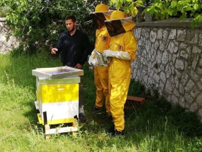 OPG PETAR MATAK - Pripravci od pčelinjeg otrova pomoći će ženama da ostanu vječno mlade?!