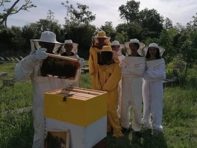 OPG PETAR MATAK - Pripravci od pčelinjeg otrova pomoći će ženama da ostanu vječno mlade?!