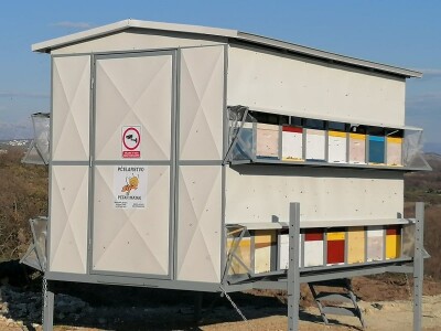 OPG PETAR MATAK - Pripravci od pčelinjeg otrova pomoći će ženama da ostanu vječno mlade?!