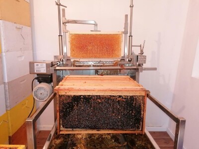 OPG PETAR MATAK - Pripravci od pčelinjeg otrova pomoći će ženama da ostanu vječno mlade?!