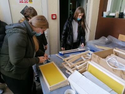 OPG PETAR MATAK - Pripravci od pčelinjeg otrova pomoći će ženama da ostanu vječno mlade?!