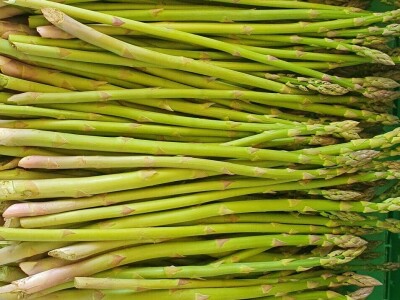 OPG Petrović šparoge