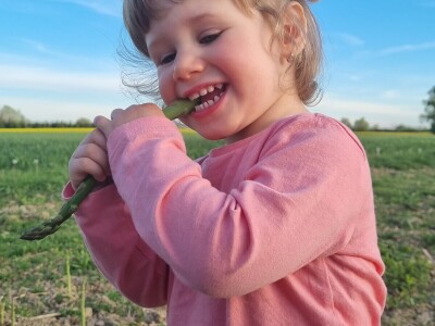 OPG Petrović šparoge