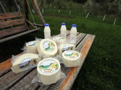 OPG Pintar OPG Pintar