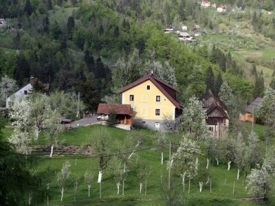 OPG Pintar OPG Pintar