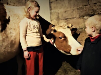 OPG Plahutar Ivan OPG Plahutar Ivan