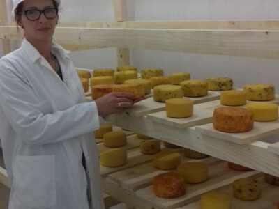 OPG Pranjić dnevno preradi 100 litara mlijeka u prvorazredni sir