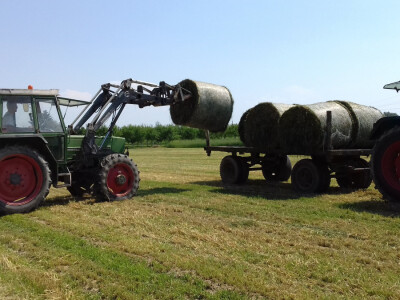 OPG Pranjić dnevno preradi 100 litara mlijeka u prvorazredni sir