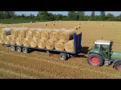 OPG Pranjić dnevno preradi 100 litara mlijeka u prvorazredni sir