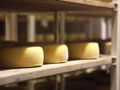 OPG Promina - stočarstvo na obroncima Dalmatinske zagore