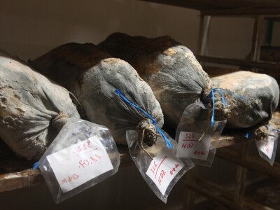 OPG Promina - stočarstvo na obroncima Dalmatinske zagore