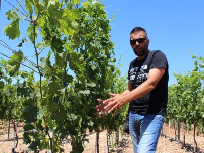 OPG Rade Županović Kruševo