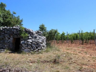 OPG Rade Županović Kruševo