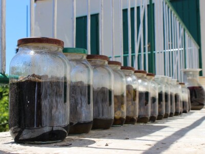 OPG Rade Županović Kruševo