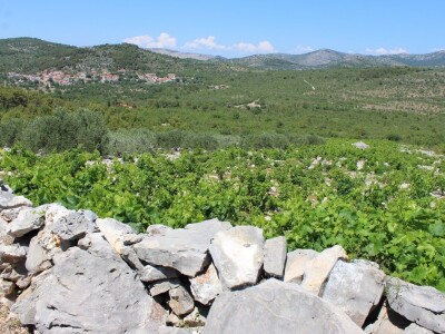 OPG Rade Županović Kruševo