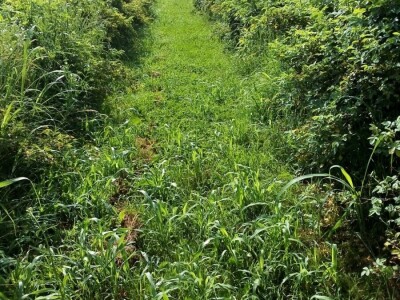 OPG RADIČEVIĆ OPG RADIČEVIĆ