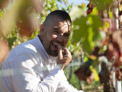 OPG Radoslav Županović