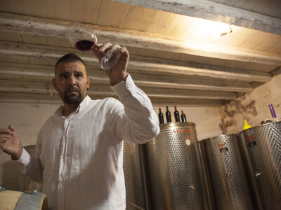 OPG Radoslav Županović